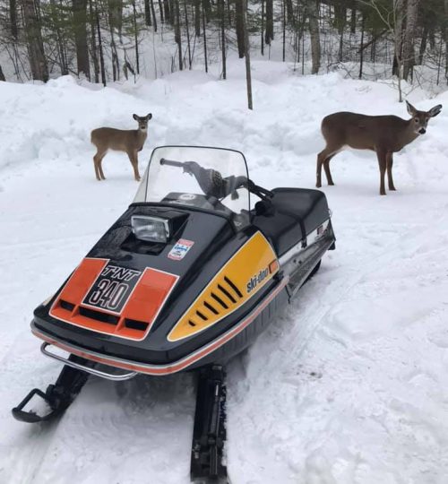 Stef Beaudin, Ski Doo TNT 340 1975